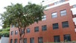 Imagem de Madeira já vacinou 1.900 (vídeo)