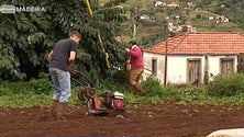 Agricultura perdeu 60% dos apoios