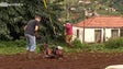 Imagem de Agricultura perdeu 60% dos apoios