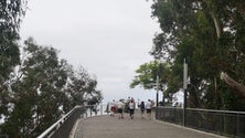 Imagem de Madeira como destino turístico inteligente (áudio)