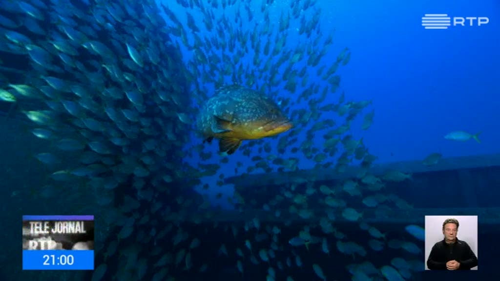 A nova Fronteira: O Mar Profundo