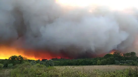 Imagem de Ardeu em Viana do Castelo em 5 meses o mesmo que em todo 2021