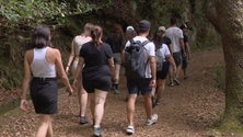 Imagem de Vinte voluntários limpam percurso do Miradouro dos Balcões (vídeo)
