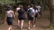 Vinte voluntários limpam percurso do Miradouro dos Balcões (vídeo)
