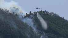 Imagem de Incêndio mobiliza 40 homens e o helicóptero (vídeo)