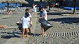 Imagem de Recolha de lixo na praia da Ribeira Brava