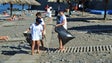 Recolha de lixo na praia da Ribeira Brava