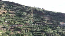 Imagem de Estrada regional 222 entupida devido ao encerramento da via expresso (vídeo)