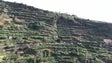Imagem de Estrada regional 222 entupida devido ao encerramento da via expresso (vídeo)