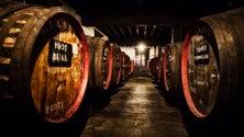 Imagem de IVBAM no Concurso Internacional de Vinhos Bacchus 2019