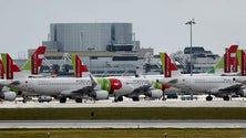 Imagem de TAP propôs dispensa de 458 pilotos
