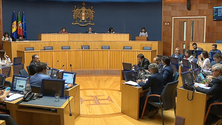 Imagem de Carreira de policia florestal em revisão (vídeo)