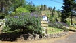 Cem mil árvores vão ser plantadas no Parque Ecológico do Funchal (Áudio)