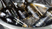 Imagem de Madeira Wine Company prepara vendas de Vinho Madeira na China