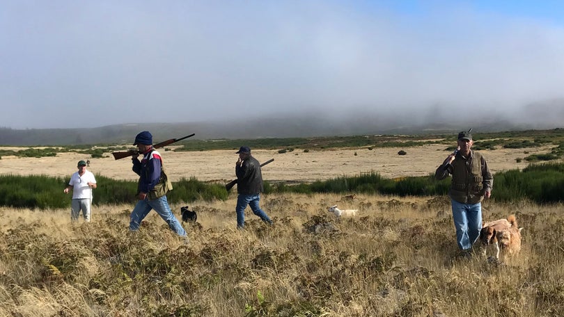 Imagem de Arranque da época venatória na Região