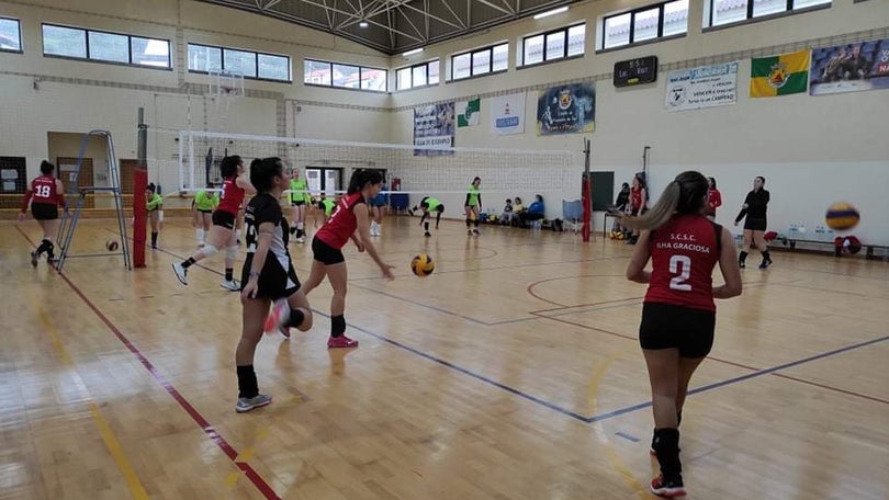 Imagem de Voleibol feminino