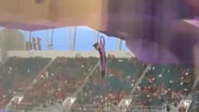 Imagem de Adeptos salvam gato de queda num estádio (vídeo)