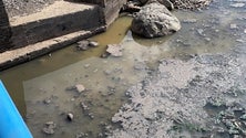 Imagem de Descarga de águas residuais na ribeira de Santa Cruz