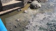 Descarga de águas residuais na ribeira de Santa Cruz