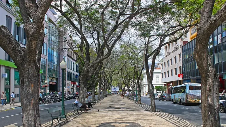 Imagem de Dia do Trabalhador na Madeira retoma formato habitual após dois anos de interregno