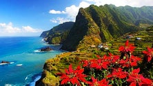 Imagem de Madeira eleita Melhor Destino Insular do Mundo pela sexta vez