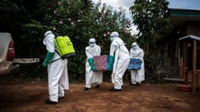 Imagem de OMS alerta para evolução preocupante da epidemia de Ébola no Congo
