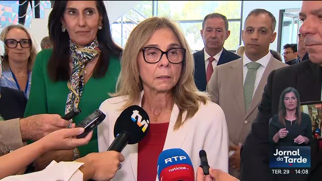 Caso das gémeas. Governo garante igualdade de tratamento no SNS