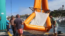 Imagem de Governo envolve pescadores de Rabo de Peixe na limpeza de plásticos no Mar (Vídeo)