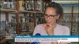 Imagem de Sandra Martins Fernandes de regresso às seleções nacionais de andebol (vídeo)