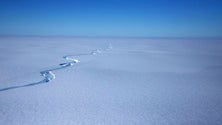 Imagem de Maior iceberg do mundo soltou-se de plataforma de gelo