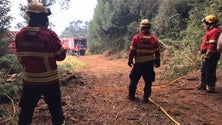 Imagem de Incêndio no Porto Moniz alastra à Fajã do Nunes