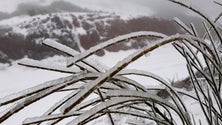 Imagem de Pico do Areeiro atingiu -1,9 graus esta manhã
