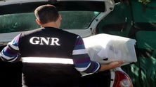Imagem de GNR apreendeu mercadoria no valor de 2.800 euros na Feira do Santo da Serra