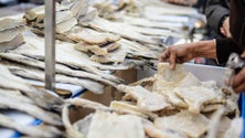Imagem de Preço do bacalhau aumentou quase dois euros por quilo