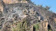 Imagem de Limpeza da escarpa em Câmara de Lobos