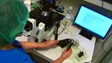 Imagem de Orçamento do Estado: Proposta prevê criação de regime de contratação de cientistas em empresas