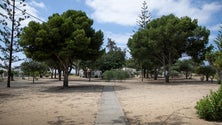 Obra do parque público do Porto Santo custará dois milhões de euros ao Governo Regional (áudio)