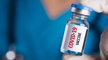 Imagem de Cerca de 300 mil vacinas contra covid-19 e gripe administradas na primeira semana