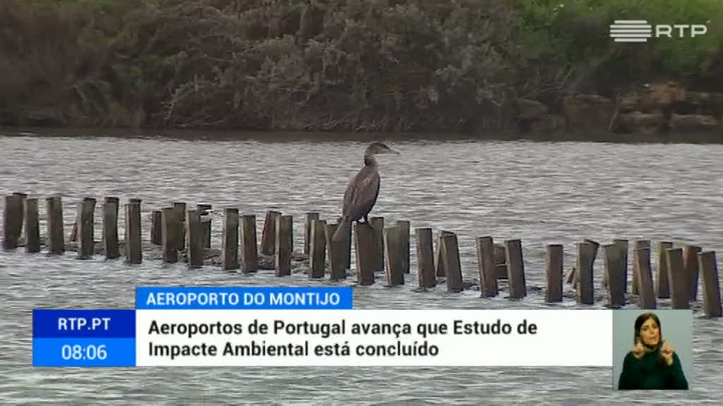 Aeroporto Montijo. Conclu�do o estudo de impacto ambiental
