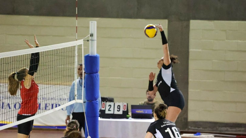 Imagem de Voleibol feminino