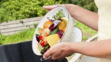 Imagem de Madeira cria comissão regional de combate ao desperdício alimentar