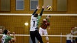 Imagem de Voleibol do Marítimo não consegue vencer equipa do Madalena