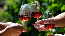 Imagem de Comercialização de Vinho Madeira aumentou no 2.º trimestre de 2021