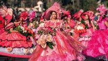 Imagem de Madeira tem diversas operações turísticas confirmadas para a Festa da Flor (Áudio)