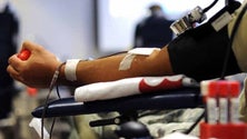 Imagem de Vacinados deixam de ter de esperar sete dias para doar sangue