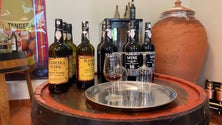 Imagem de Há um excedente de vinho Madeira (vídeo)