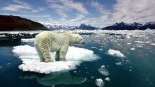 Imagem de Políticas atuais estão a conduzir a Terra para um aquecimento de 2,8°C