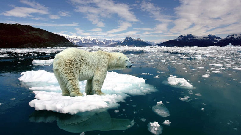 Políticas atuais estão a conduzir a Terra para um aquecimento de 2,8°C