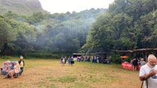 Imagem de Dia de festa no Chão dos Louros (áudio)