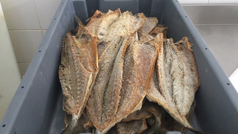 Imagem de Graciosa recupera tradição de secar peixe [Vídeo]